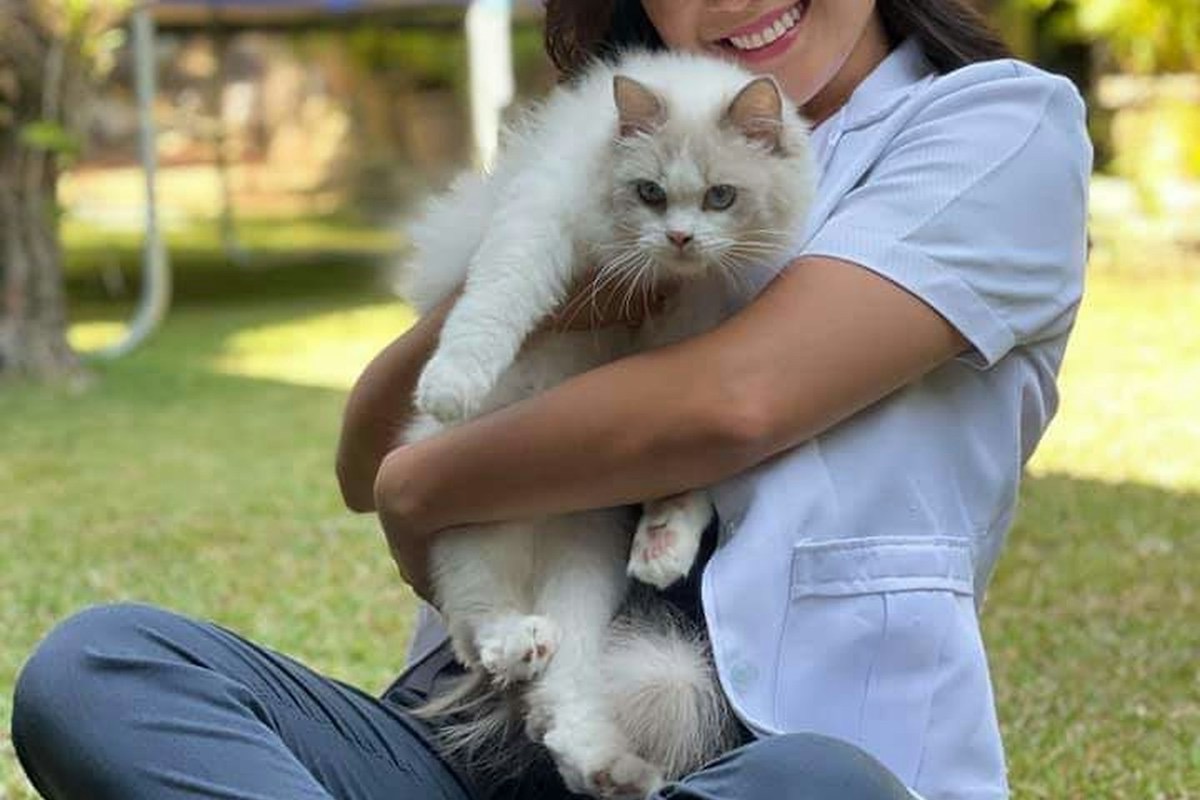 Veterinaria sosteniendo un gato blanco durante una revisión
