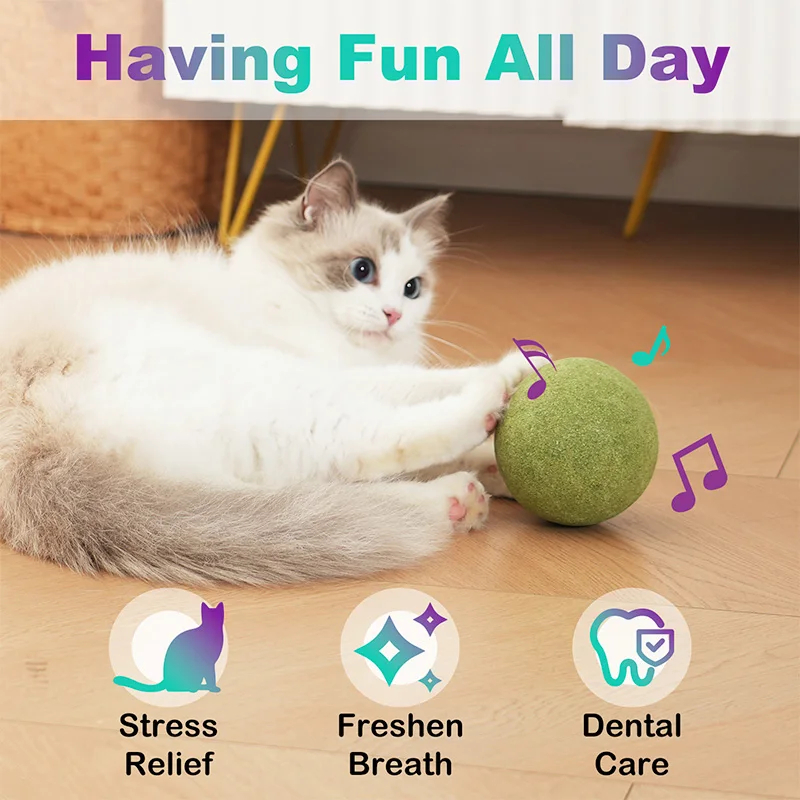 Gato jugando con bola de hierba gatera: alivio de estrés, aliento fresco y cuidado dental